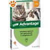 Elanco Cat Advantage per Gatti e Conigli (<4kg) - Offerta [PREZZO A CONFEZIONE] Quantità minima 2, Confezione da 4 Pipette