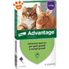 Elanco Cat Advantage per Gatti e Conigli (>4kg) - Offerta [PREZZO A CONFEZIONE] Quantità minima 2, Confezione da 4 Pipette