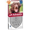 Elanco Dog Advantix Spot-On (25-40kg) - Offerta [PREZZO A CONFEZIONE] Quantità minima 4, Confezione da 4 Pipette