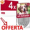 Elanco Dog Advantix Spot-On (10-25kg) - Offerta [PREZZO A CONFEZIONE] Quantità minima 4, Confezione da 4 Pipette