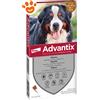 Elanco Dog Advantix Spot-On (40-60kg) - Offerta [PREZZO A CONFEZIONE] Quantità minima 4, Confezione da 4 Pipette