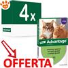 Elanco Cat Advantage per Gatti e Conigli (>4kg) - Offerta [PREZZO A CONFEZIONE] Quantità minima 4, Confezione da 4 Pipette