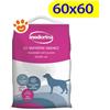 Inodorina Training Neutro (60x60cm) Tappetini Igienici Assorbenti - Offerta [PREZZO A CONFEZIONE] Quantità minima 5, Confezione da 100 Tappetini