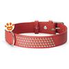 Camon Dog Collare in Pelle Rosso con Borchiette (20x200 mm) - Confezione Da 1 Pezzo
