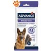 Advance Dog Snack Articular Stick - Confezione Da 7 Stick - CONFEZIONE RISPARMIO