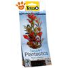 Tetra Decoart Red Ludwigia M - Confezione Da 1 Pezzo