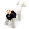 Camon Dog Mutandina con Fiocco - TG. 2 (30x35cm)