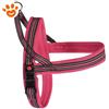 Camon Dog Pettorina Mesh Dynamic Plus - Fucsia, TG. 90 (90cm)