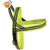 Camon Dog Pettorina Mesh Dynamic Plus - Lime, TG. 80 (80cm)