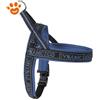 Camon Dog Pettorina Neoprene Dynamic - Blu Petrolio, TG. 35 (35cm)
