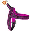 Camon Dog Pettorina Neoprene Dynamic - Fucsia, TG. 90 (90cm)