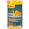 Sera Pond Gammarus Nature - Confezione Da 145 Gr