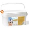 NBF Lanes Horse Microbiotal - Confezione Da 20x60 Gr