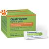 NBF Lanes Dog&Cat Gastrovom Viscogel - Confezione Da 30 Pezzi