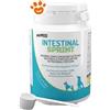 PetMod Dog Intestinal Sprint - Confezione Da 100 Gr