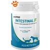 PetMod Dog&Cat Intestinal Fibre - Confezione Da 100 Gr