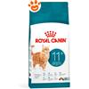 Royal Canin Cat Feline Health Nutrition Senior Ageing 11+ - Sacco Da 400 Gr