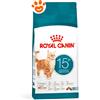 Royal Canin Cat Feline Health Nutrition Senior Ageing 15+ - Sacco Da 2 Kg