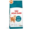 Royal Canin Cat Feline Health Nutrition Senior Ageing 11+ Sterilised - Sacco Da 2 Kg