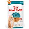Royal Canin Cat Feline Health Nutrition Senior Ageing 15+ Gravy - Bustina Da 85 Gr - CONFEZIONE RISPARMIO