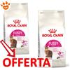 Royal Canin FHN Cat Fussy Exigent - Offerta [PREZZO A CONFEZIONE] Quantità Minima 2, Sacco Da 10 Kg