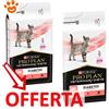 Purina Cat Pro Plan Veterinary Diet DM Diabetes Management - Offerta [PREZZO A CONFEZIONE] Quantità Minima 2, Sacco Da 5 Kg