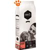 Amity Premium Dog Mantenimento Adult Salmone e Riso - Sacco Da 15 Kg