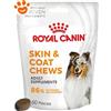 Royal Canin Dog Supplement Skin & Coat Adult Snack per Cani - Bustina Da 240 Gr - CONFEZIONE RISPARMIO
