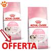 Royal Canin FHN Cat Kitten - Offerta [PREZZO A CONFEZIONE] Quantità Minima 2, Sacco Da 4 Kg