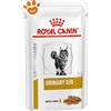 Royal Canin Cat Veterinary Diet Urinary S/O in Salsa - Bustina Da 85 Gr - CONFEZIONE RISPARMIO