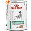 Royal Canin Dog VHN Diabetic Special Glycobalance Low Carbohydrate - Lattina Da 410 Gr