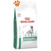 Royal Canin Dog VHN Glycobalance Diabetic - Offerta [PREZZO A CONFEZIONE] Quantità Minima 2, Sacco Da 12 Kg
