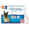 Virbac Effipro Dog Taglia L (20-40Kg) - Offerta [PREZZO A CONFEZIONE] Quantità minima 2, Confezione da 4 Pipette