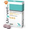 DRN Dog&Cat Uryvet Evo Compresse - Confezione Da 32 Compresse