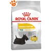 Royal Canin Dog CCN Mini Dermacomfort - Sacco Da 1 Kg