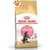 Royal Canin FBN Cat Kitten Maine Coon - Sacco Da 4 Kg