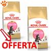 Royal Canin FBN Cat Kitten Maine Coon - Offerta [PREZZO A CONFEZIONE] Quantità Minima 2, Sacco Da 4 Kg