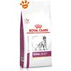 Royal Canin VHN Dog Veterinary Diet Renal Select - Sacco Da 2 Kg
