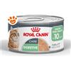 Royal Canin FCN Cat Digestive Sensitive Care Airlift - Lattina Da 85 Gr