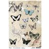 Carta di riso Butterfly Rapture Typographic