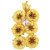 Fiori gialli Among the Wildflowers Flowers Honey Bloom