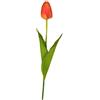 Tulipano Arancio 54 cm