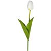 Tulipano Bianco 54 cm