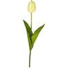 Tulipano Panna/Verde 54 cm