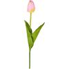 Tulipano Rosa 54 cm