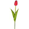 Tulipano Rosso 54 cm