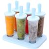 Housoutil Stampini in Silicone per Gelati con 6 Griglie Rotonde e Vassoio Solido, Strumento Facile da Usare in Plastica Pp per Ghiaccioli Riutilizzabili Fatti in Casa