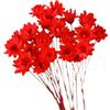 Ciieeo 30 Pezzi Piccole Margherite Rosse Fiori Secchi Naturali Conservati senza Sbiadire Decorazione Delicata per Regalo e Ufficio