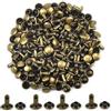 Chstarina 100 Set Rivetto in Pelle Rivetti Doppio Cappuccio Rivetto per Cuoio Tubular Bottoni a Pressione Tubolare Rivettato Viti in Metallo per DIY Lavori Pelle Jeans Scarpe Giacche Borsa Riparazioni, Bronzo