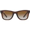 Ray-Ban Occhiali da Sole Ray-Ban Wayfarer Reverse RBR0502S 6709CB